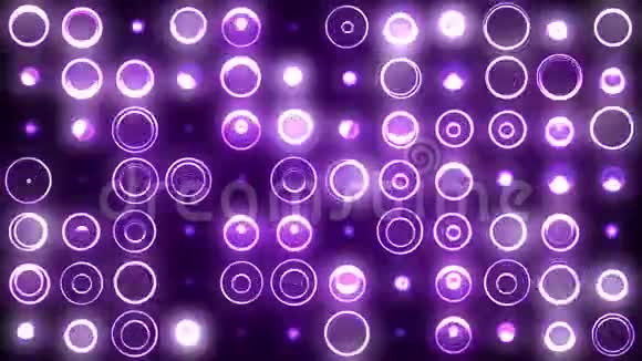 紫环背景视频的预览图