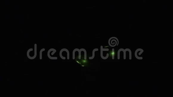 萤火虫的雌性兰普里斯诺蒂卢卡吸引雄性视频的预览图