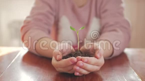 女孩手里拿着年轻的绿色植物生长呵护保护地球生态的理念和标志视频的预览图