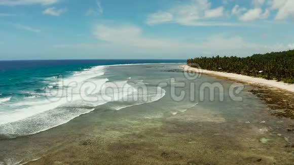 菲律宾西高岛上有棕榈树的白色沙滩视频的预览图