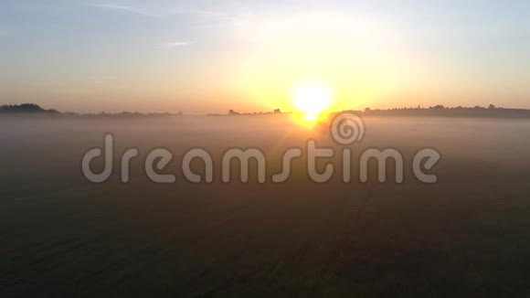 黎明时分田野里一棵孤独的树在朝阳的照耀下视频的预览图