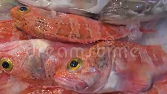 西班牙市场的新鲜海洋鱼视频的预览图