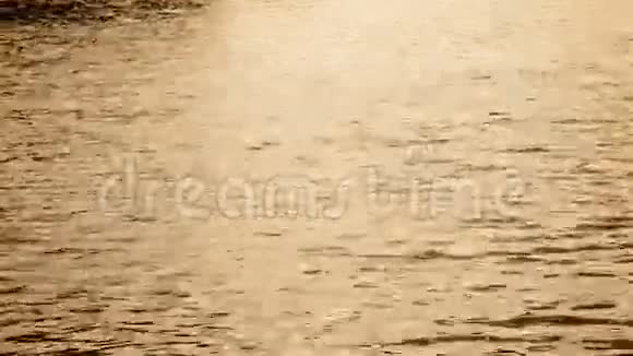 划艇男子剪影视频的预览图