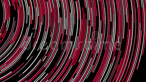 美丽的抽象动画的多色霓虹灯线旋转在一个圆圈上的黑色背景动画视频的预览图