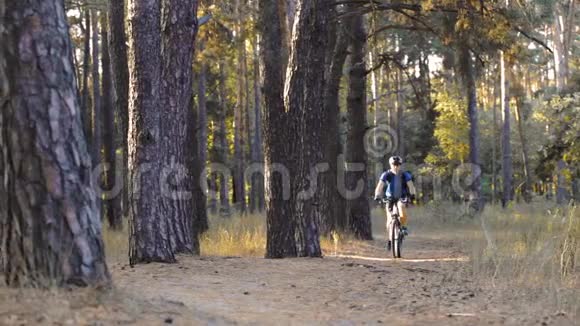 骑自行车的人在松林中骑行视频的预览图