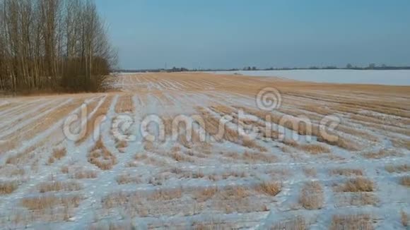 农田之上雪中有麦茬视频的预览图
