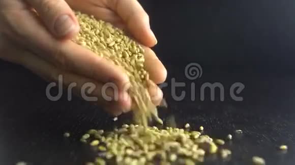 倒入燕麦颗粒生态食品视频的预览图