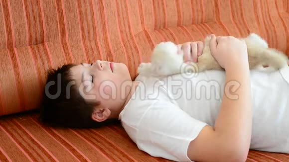 小男孩和小猫睡在沙发上视频的预览图