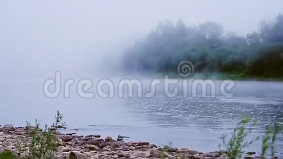 夏天早晨河上的雾视频的预览图