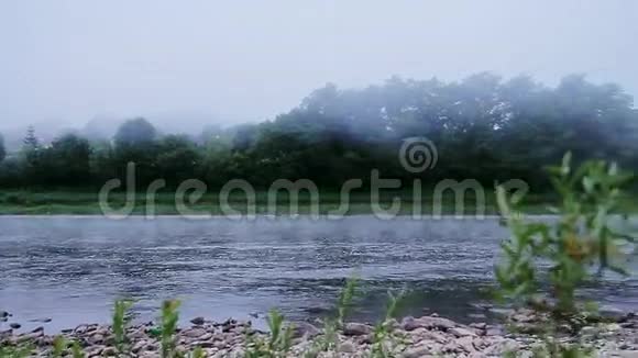 夏天早晨河上的雾视频的预览图
