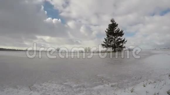冬季寒冷的雪景有孤独的冷杉树和云的运动时间流逝4K视频的预览图