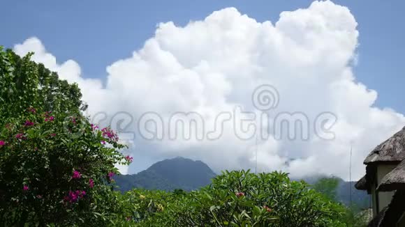 印度尼西亚巴厘岛云层在山上移动热带花园时间流逝视频的预览图