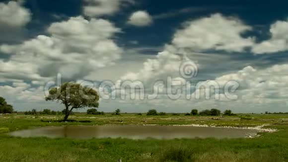 时间流逝在Etosha国家公园的水洞上移动云层视频的预览图