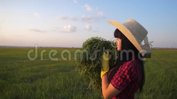 女孩红脖子农夫农业收获生态农业概念慢镜头收割庄稼的快乐女孩视频的预览图