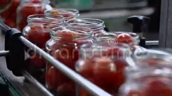 加工和罐头蔬菜自动生产线保护番茄3视频的预览图