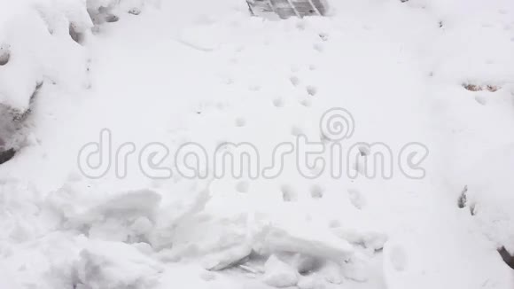 三月降雪这个人要把雪移走视频的预览图