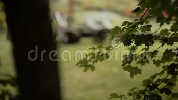 一辆矗立在绿色草坪上的古老乡村木车的树后景色视频的预览图