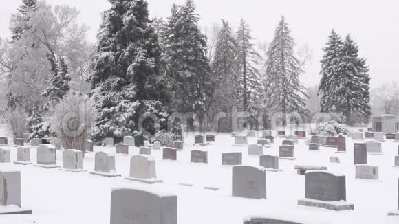 冬潘公墓视频的预览图