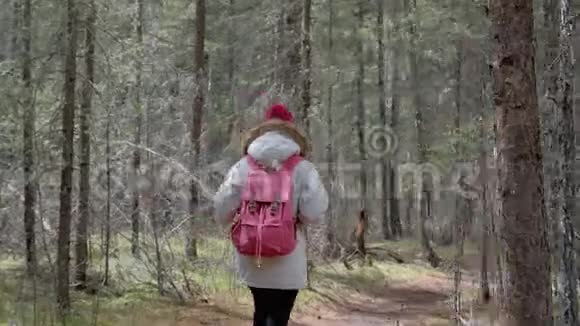 秋天秋天一个背包客在森林山的小径上徒步旅行20秒4K视频的预览图