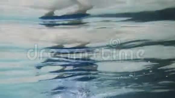 在碧绿的海水中游泳视频的预览图