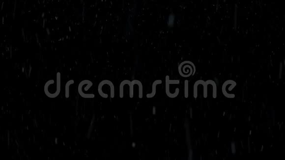 美丽的白色雪花飘落在黑色的背景上动画黑色背景下的雪花动画视频的预览图