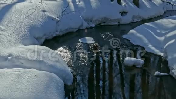 冬季森林小溪视频的预览图