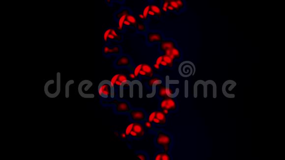 抽象DNA双螺旋暗红色在黑色背景上旋转无缝环动画概念视频的预览图