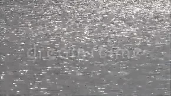 阳光反射在银水上视频的预览图