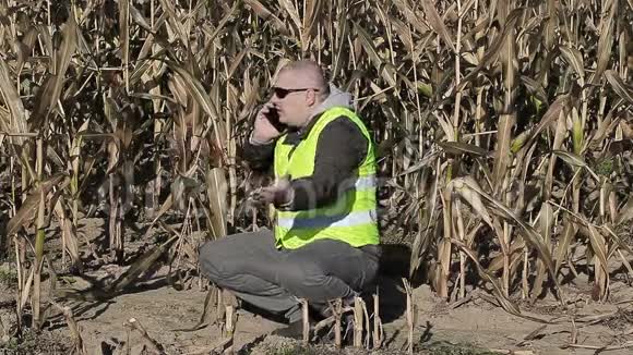 愤怒的农民在秋天寒冷的玉米地上用智能手机视频的预览图