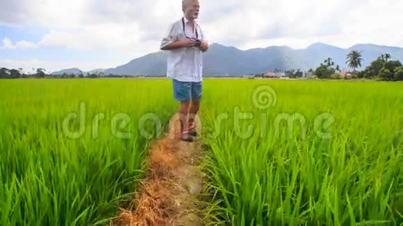 老人照山间稻田景观视频的预览图