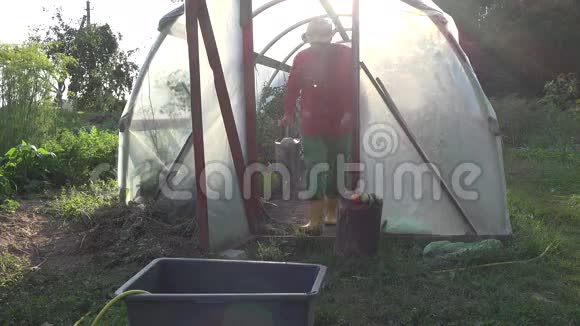 人用水缸和温室里的水草打水4K视频的预览图