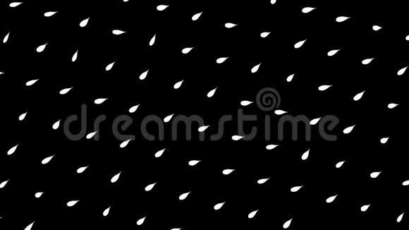 抽象的白色花叶在黑色背景上孤立地流动无缝环动画一排排小花瓣在移动视频的预览图