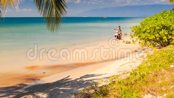 骑摩托车的人在海滩上驾驶到棕榈阴影视频的预览图