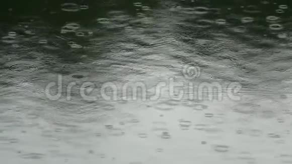 水面上的雨点视频的预览图