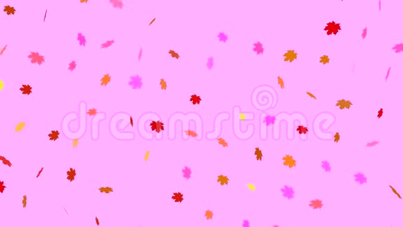 彩色背景下旋转秋叶的背景动画美丽的五彩秋叶旋转视频的预览图