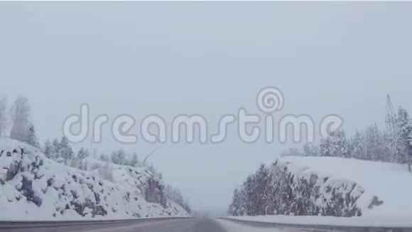 白雪皑皑的道路被松树环绕着视频的预览图