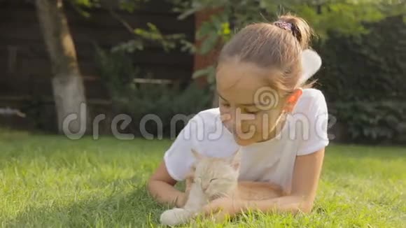 多莉和一只红猫躺在草地上视频的预览图