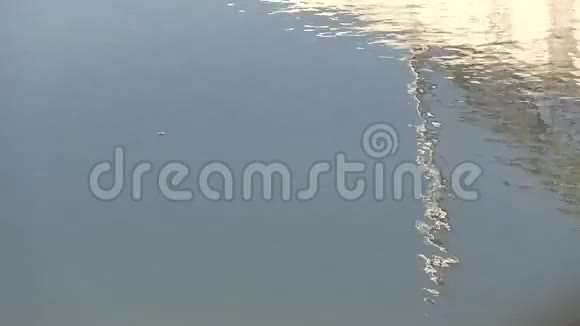 水中的倒影视频的预览图