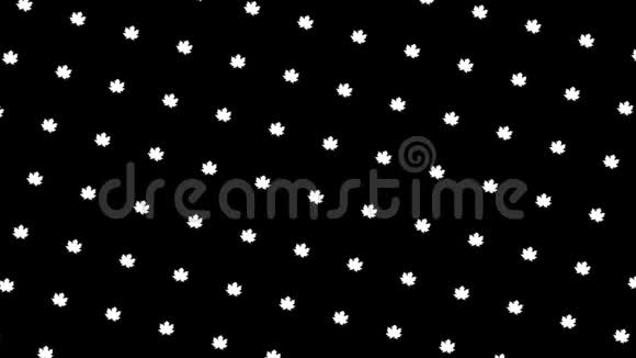 抽象白树叶在黑色背景上孤立地流动无缝循环动画一排排小花瓣在移动视频的预览图