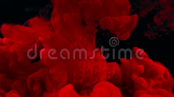 抽象的红墨水溅在黑色背景的水中视频的预览图