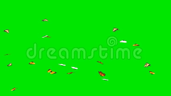 飘动的蝴蝶绿屏背景视频的预览图