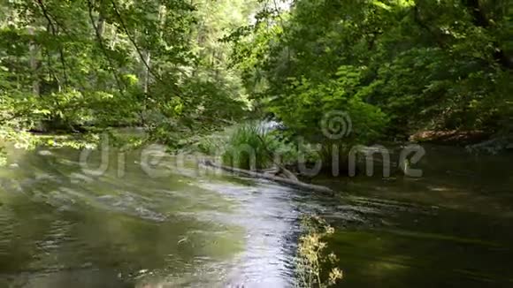 夏季乌尔河景观流动的溪水位于德国巴伐利亚州斯塔恩伯格旁边视频的预览图