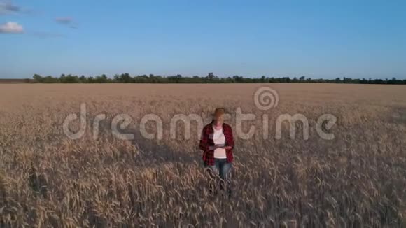一个女农民监测小麦作物空中勘测麦田俯视图4K慢动作视频视频的预览图