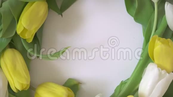 郁金香旋转春天的花朵视频的预览图