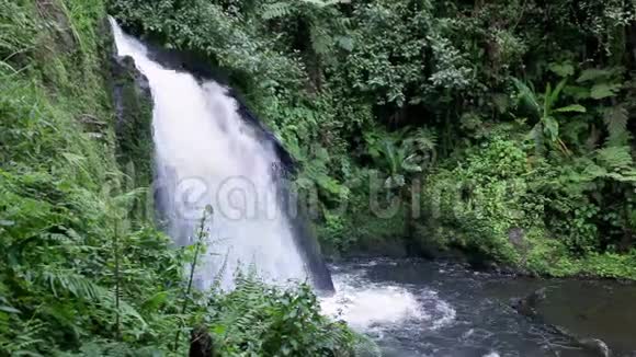 肯尼亚山上的瀑布视频的预览图