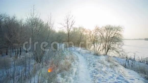 早上在冬季公园的小径视频的预览图
