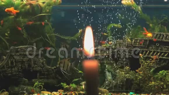 在水族馆的背景下燃烧烛光视频的预览图
