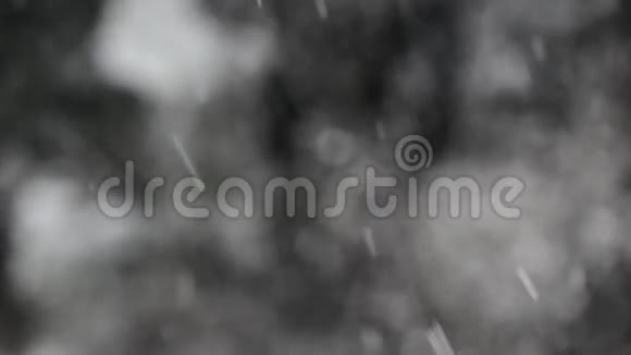 樱桃树树枝在雪花中聚焦视频的预览图