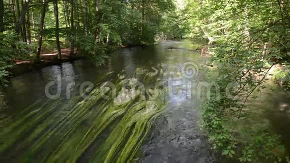 夏季乌尔河景观流动的溪水位于德国巴伐利亚州斯塔恩伯格旁边视频的预览图