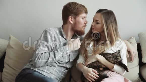 夫妻俩坐在家里的沙发上抚摸一只猫亲吻和看电视视频的预览图